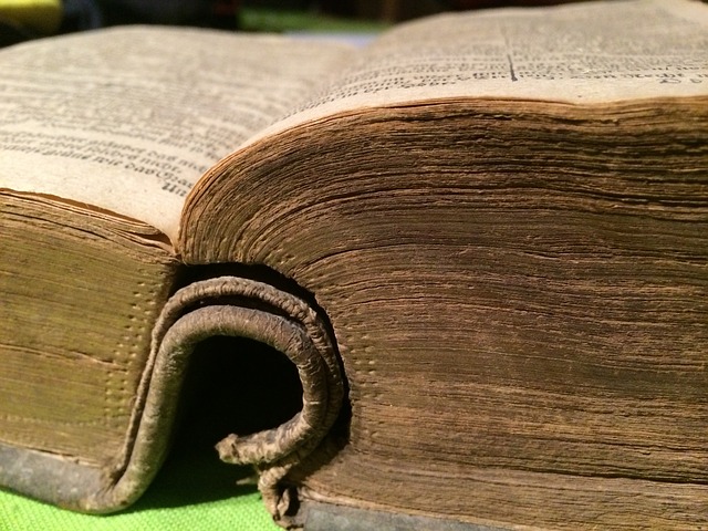 An old well-used Bible.